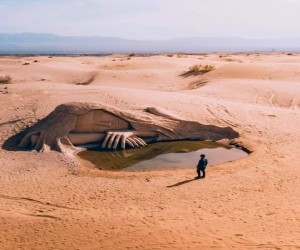 هوامير الصحراء  
